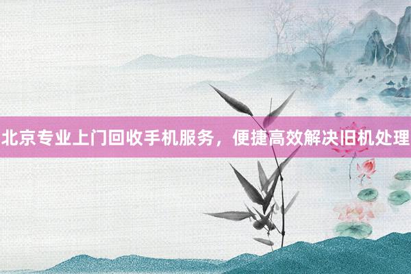 北京专业上门回收手机服务，便捷高效解决旧机处理